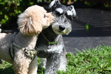 平和のチュッ！