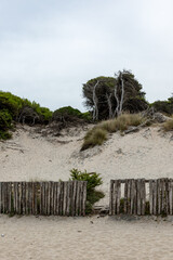 Torre dell'orso Puglia Two sisters