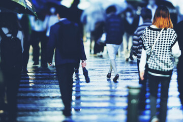 Fototapeta premium 雨の日の横断歩道