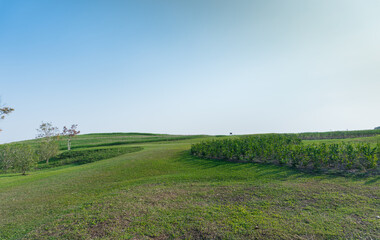 green land and blue sky