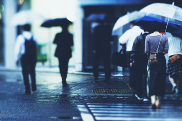 雨の日の横断歩道