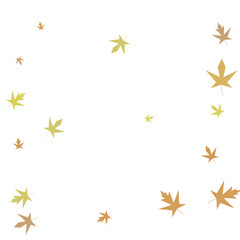 Autumn maple confetti. Simple autumn background