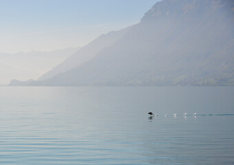 Beautiful landscape around Lake Brienz