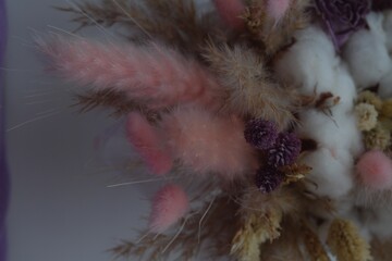 feather on black background