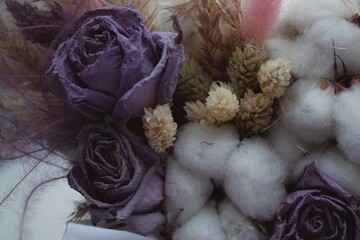 purple dried roses on a white background