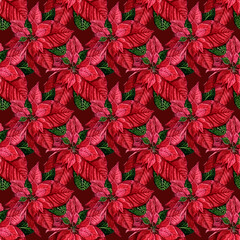 Seamless christmas pattern with red poinsettia, black background, gold outline, holly, mistletoe and berries.