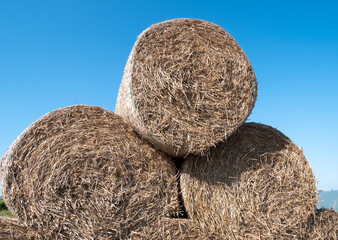 Hay bales (hay balls, haycock or haystack) on a farm field.