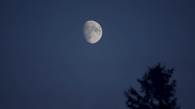 still frame full moon in the night sky
