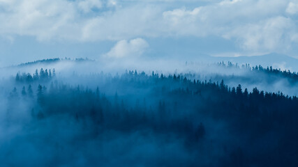 Misty forest in the mountains, Beskids, Poland