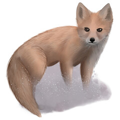 Digital painted watercolor little fox illustration