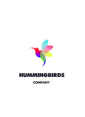 Hummingbirds logo on a light background