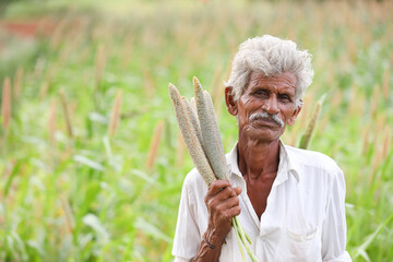 Indian old farmer holding Pearls millets in farmland	
