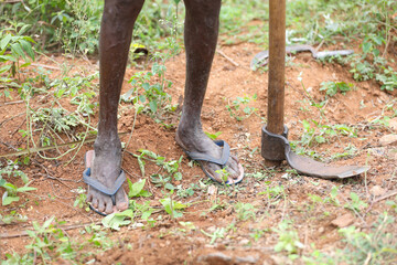 Indian old farmer foot on work field