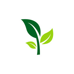 Obraz premium leaf logo icon design template vector