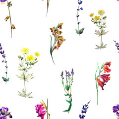 Watercolor meadow flowers, vintage seamless pattern. Design for fabrics, textiles, wallpapers, backgrounds, covers, packaging, wrapping paper.