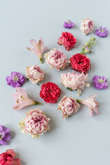 Abstract floral background. Colourful pink and red rose flowers background. Beautiful flowers and petals. Artistic botany template