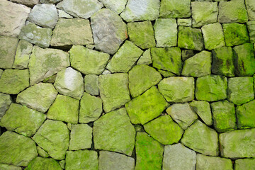	苔むした石垣