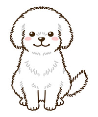 トイプードル（白）