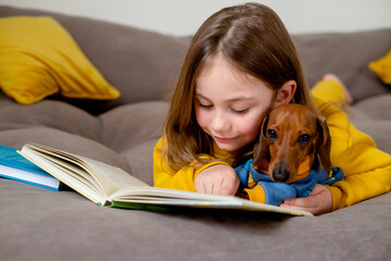 cute little girl with a dwarf dachshund are lying on the bed and reading a book. an open book is...