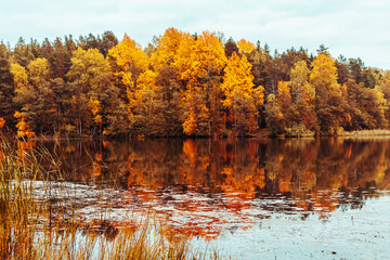 Colorful autumn landscape, tranquility, travel.