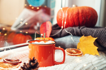 Cup of cocoa, pumpkin, autumn leaves and a knitted blanket on the windowsill.