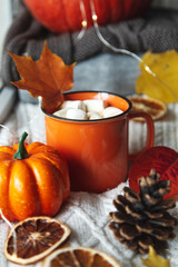 Cup of cocoa, pumpkin, autumn leaves and a knitted blanket on the windowsill.