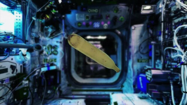 A banana spinning in zero gravity condition inside the ISS. A banana floating in space and rotating around its axis and moving inside the International Space Station.