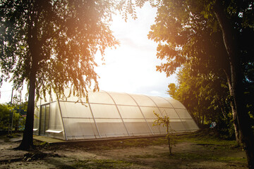 House for drying food and herbs using solar energy.