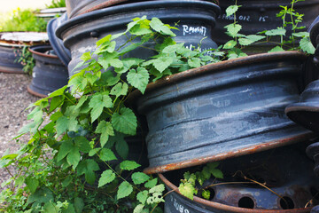 pile of overgrown wheel car parts