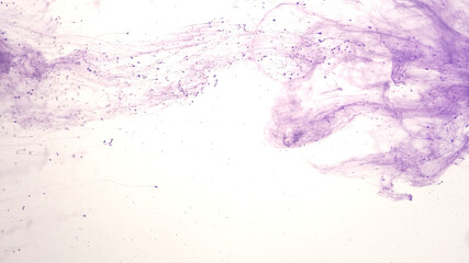 Purple watercolor ink in water on a white background. Colored acrylic paints in water. Awesome...