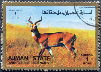 Ajman - circa 1973 : Cancelled postage stamp printed by Ajman, that shows Impala, circa 1973.