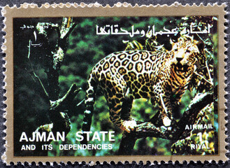 Ajman - circa 1973 : Cancelled postage stamp printed by Ajman, that shows Leopard (Panthera pardus), circa 1973.