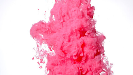 Pink paints are mixed in water. Colored cloud of ink on a white background. Pink watercolor ink in water on a white background.
