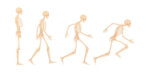 Stages of readiness for running human skeleton. Dead character prepares and takes run stance anatomically illustrated vector athlete.