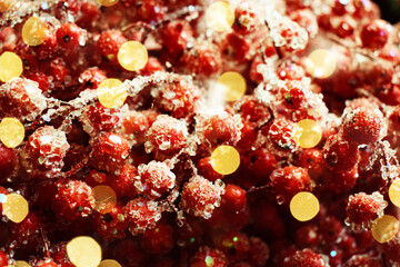red berries with frost and bokeh