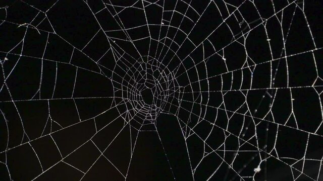 Spooky wobbling spider web on dark background. Animated halloween background with white spiderweb on black