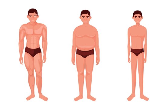 Different physique of person. Muscular mesomorphic athletic body and full endomorphic with subcutaneous fat lean toned figure with thin long vector limbs
