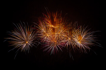 Fototapeta premium Fireworks in the night sky