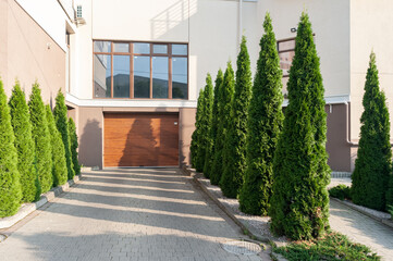 Elegant landscaping of the entrance to the garage with seedlings of evergreen thuja tree.