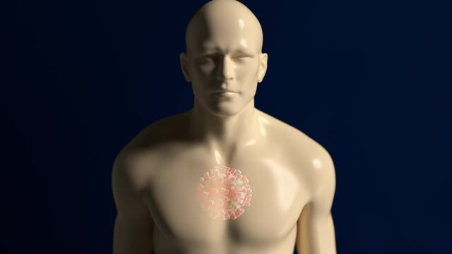 3d animation of the movement of the covid-19 virus in the human body