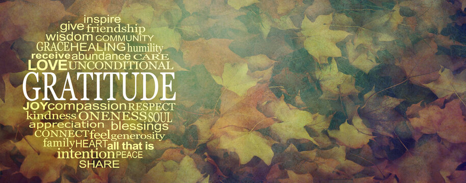Words of Gratitude at  Thanksgiving Circular Message Banner - an autumnal multicoloured wide rustic grunge leaf background with GRATITUDE word cloud on left and copy space on right 
