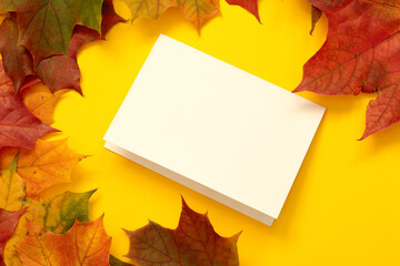 Naklejka na ściany i meble invitation blank card with autumn maple leaves