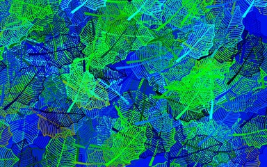 Dark Blue, Green vector natural artwork with leaves.