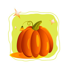 vector illustration autumn blooming pumpkin