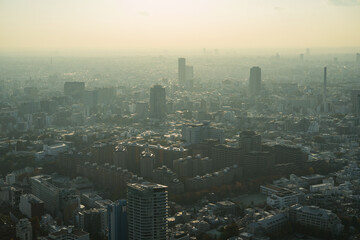 Fototapeta premium Hazy Tokyo skyline with smog and air pollution 霞のかかった東京都心の高層ビル群 大気汚染・環境問題