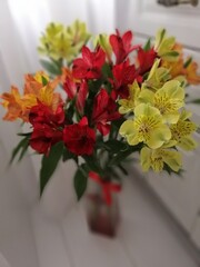 a large bouquet of yellow, orange and red alstroemeria flowers in a white kitchen interior. floral background
