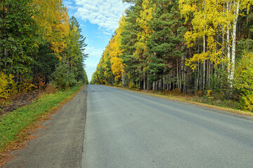 Fototapeta premium The highway passes through the autumn forest