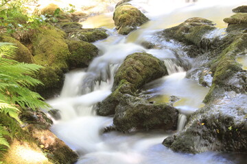 Dol Goch Waterfalls in long exposure