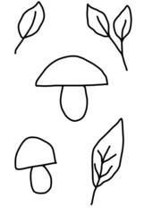 mushrooms