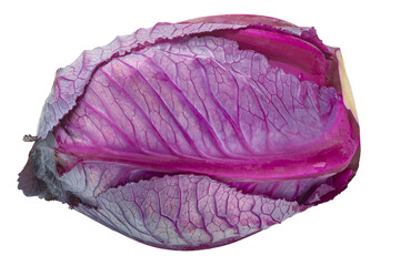 Red  cabbage, anthocyanin-rich leafy vegetable (Brassica oleracea) isolated